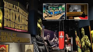 Concept design for the Hollywood Boxing Museum in Los Angeles
